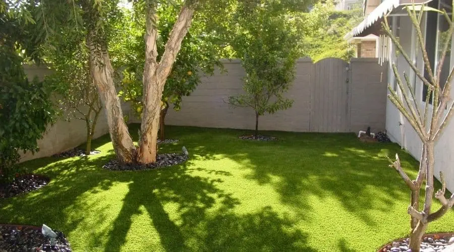 Lush green backyard with trees and manicured grass, highlighting potential areas for tree root invasion impacting plumbing systems.
