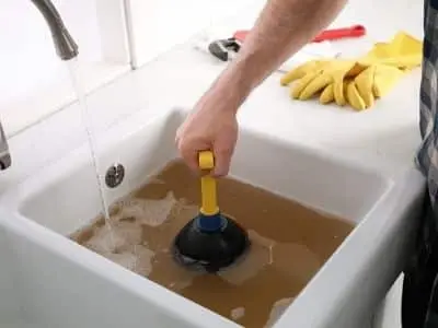 Person using a plunger in a clogged sink filled with brown water, illustrating plumbing issues related to tree root invasions.