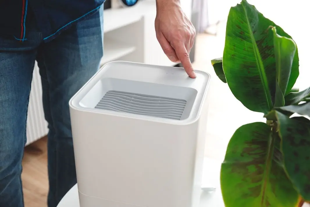 Modern air humidifier in living room