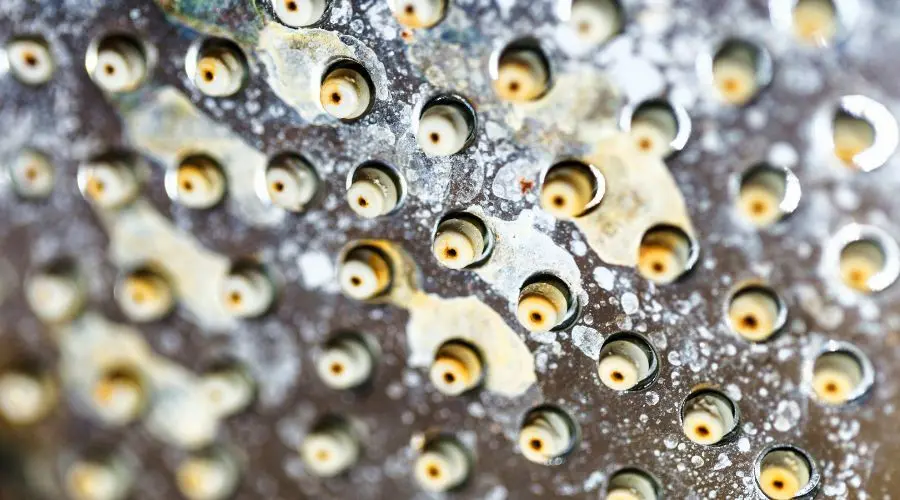 Close-up of water droplets on a shower head showing hard water deposits.