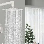 Modern rain showerhead with water droplets and plant, showcasing Quahog Plumbing services and minimalist design.