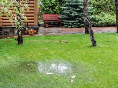 Puddle of water on green lawn, indicating potential water leak, surrounded by trees and a wooden bench, relevant to signs of hidden leaks in plumbing.