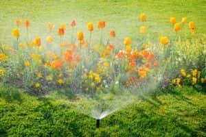 gardenplumbing