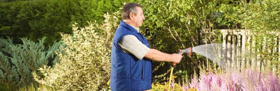 An Old Man Spraying Plants Using Hose