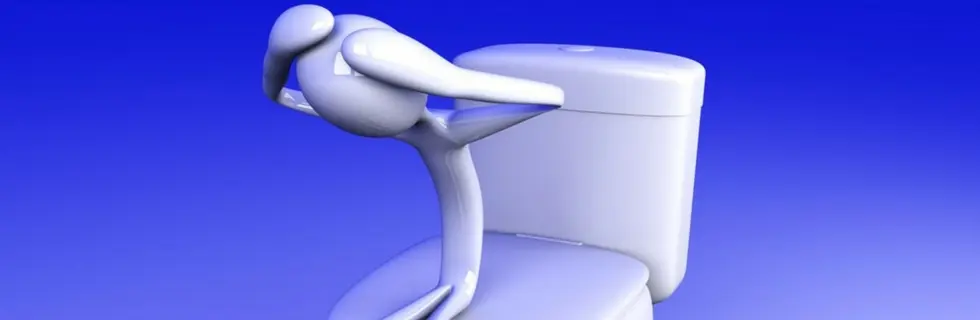 toiletwontflush