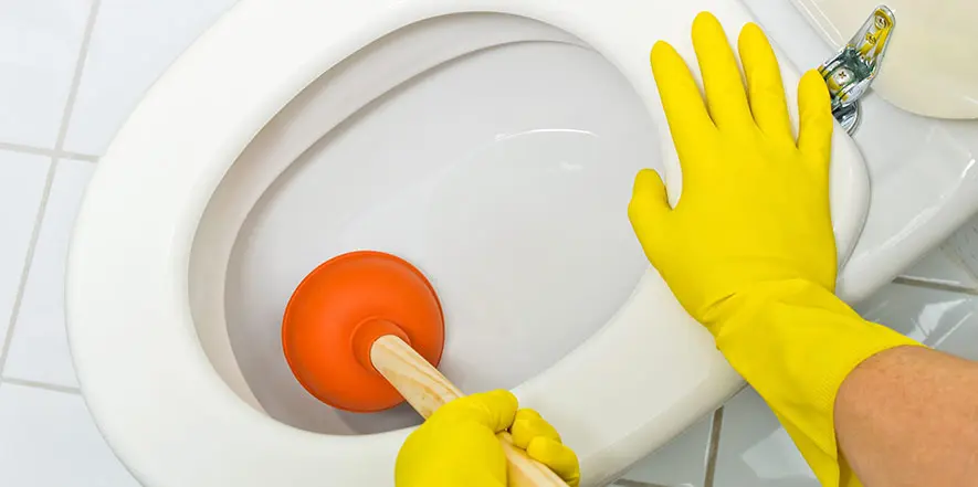 Clogged Toilet Repairs in New Port Richey