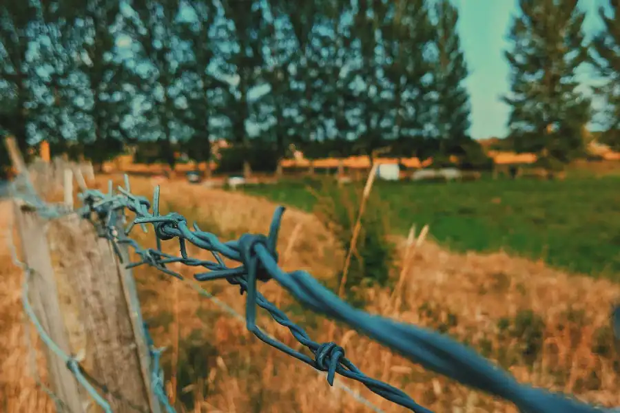 Barbed wire farm fence across an open field