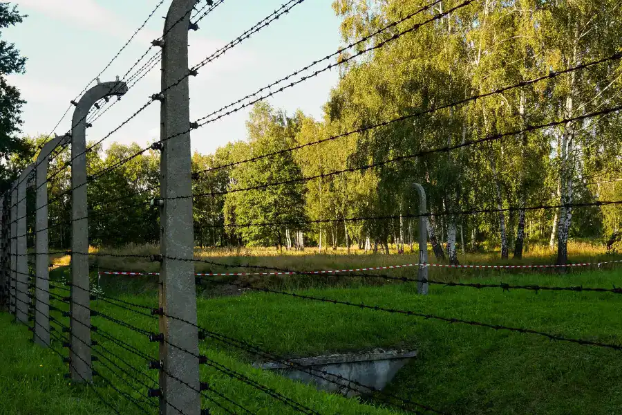 High-tensile electric wire fencing for a farm pasture