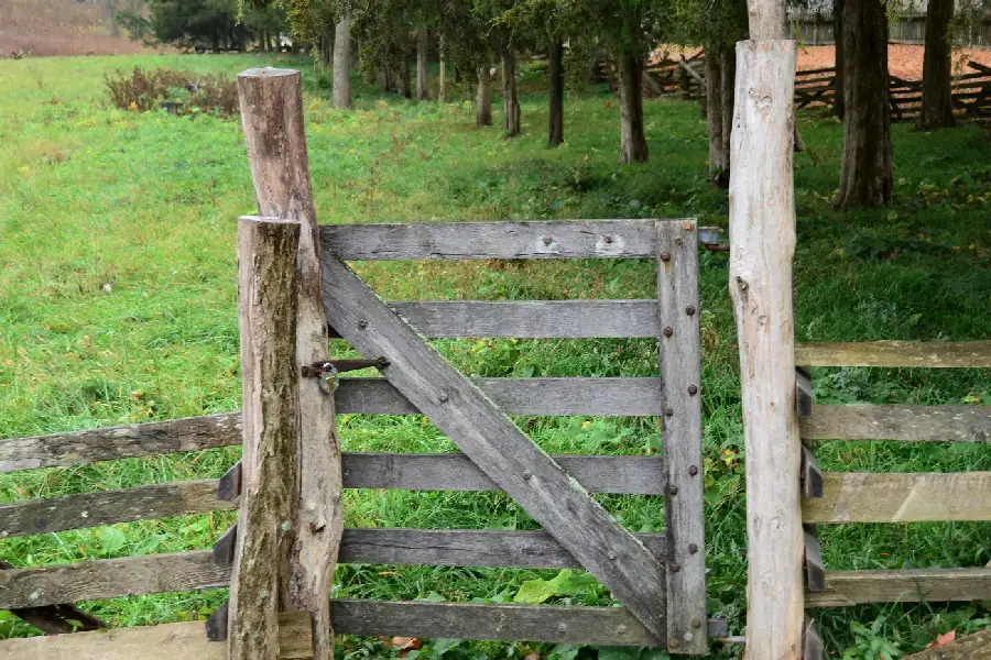 Weathered wooden farm gate with diagonal bracing between wooden posts.