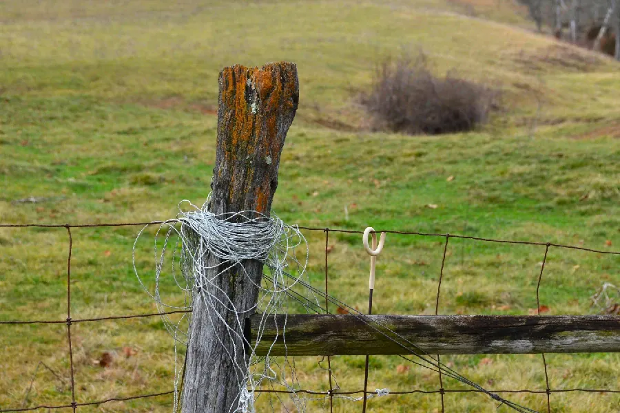 Weathered wooden fence post with coiled wire and wire mesh beside a grassy pasture.