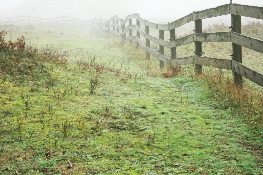 Wooden rail fence extending along a grassy pasture on a foggy morning.