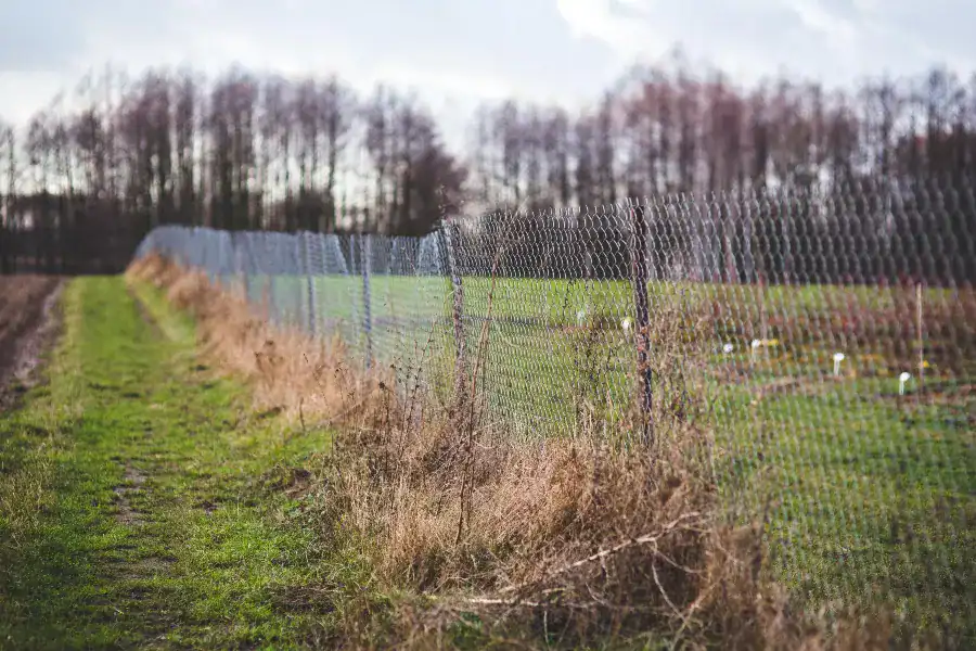 Woven wire farm fence dividing rural pasture