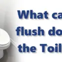White toilet with text discussing what to flush down the toilet and preventing plumbing clogs.
