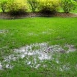 Flooded grass area with standing water, surrounded by green shrubs, illustrating potential drainage issues relevant to septic system maintenance.