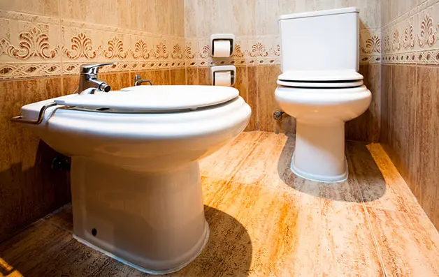 Clogged Toilet & Bathroom Repair Services in North Jersey and Boonton, NJ