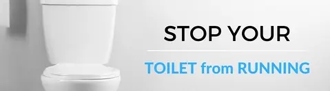stop_that_480