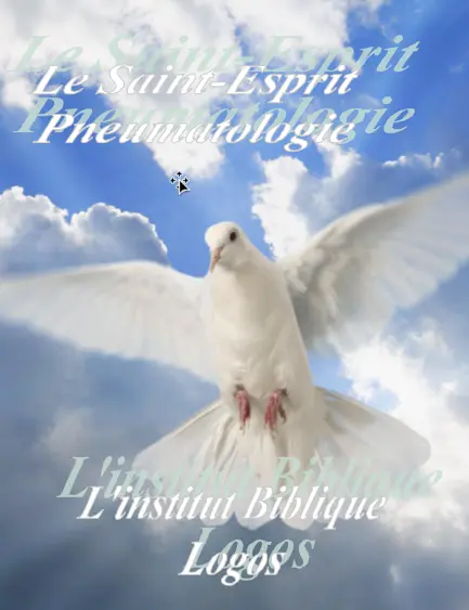 Pneumatologie, la doctrine du Saint-Esprit