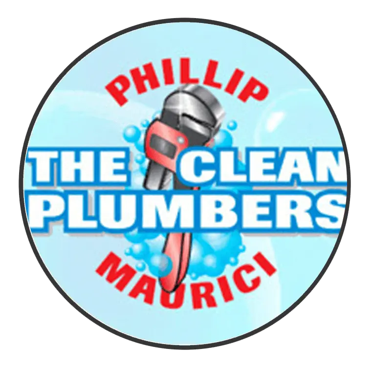 Owner of The Clean Plumbers