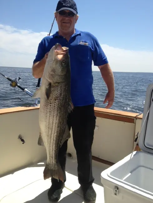Dr. Bill, owner of The Plumbing Dr., holding a 44-inch Rock Fish caught at Solomon's Island, on a boat with a sunny ocean backdrop.