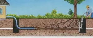 Diagram illustrating trenchless sewer repair process, featuring a technician operating equipment, underground pipes, and tree roots, emphasizing professional techniques for effective sewer line maintenance.