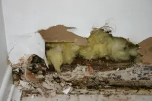 Mold and moisture damage on wall, indicating potential slab leak issues, with exposed insulation and deteriorating materials.