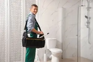 prevent toilet clogs