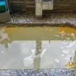 Stagnant water with debris reflecting surroundings near a plumbing service area by Lodder Brothers Limited.