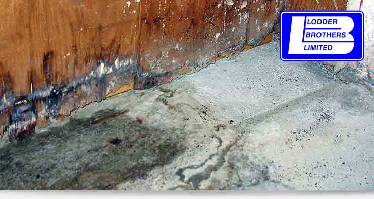 water leak detection service in Guelph, ON
