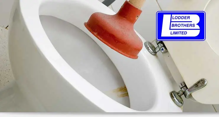 clogged toilet repair services in Guelph, ON