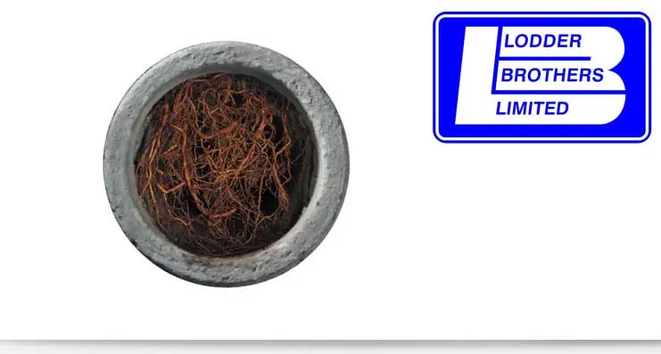Water Main Repair in Guelph