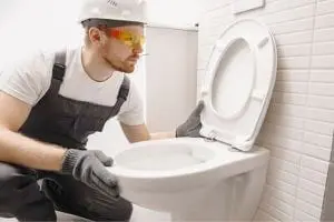 toilet clog removal