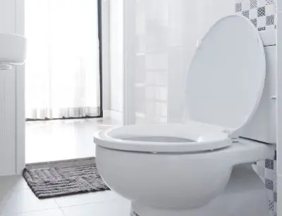 toilet