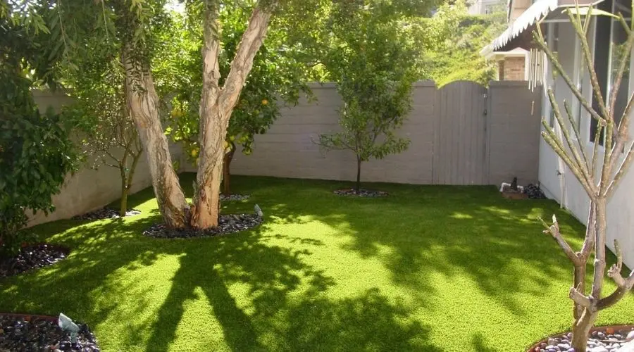 Well-maintained lawn with two trees and pebble beds, highlighting the landscape for plumbing insights at Charles Krull & Son.