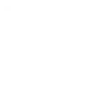 Steadfast Accounting.