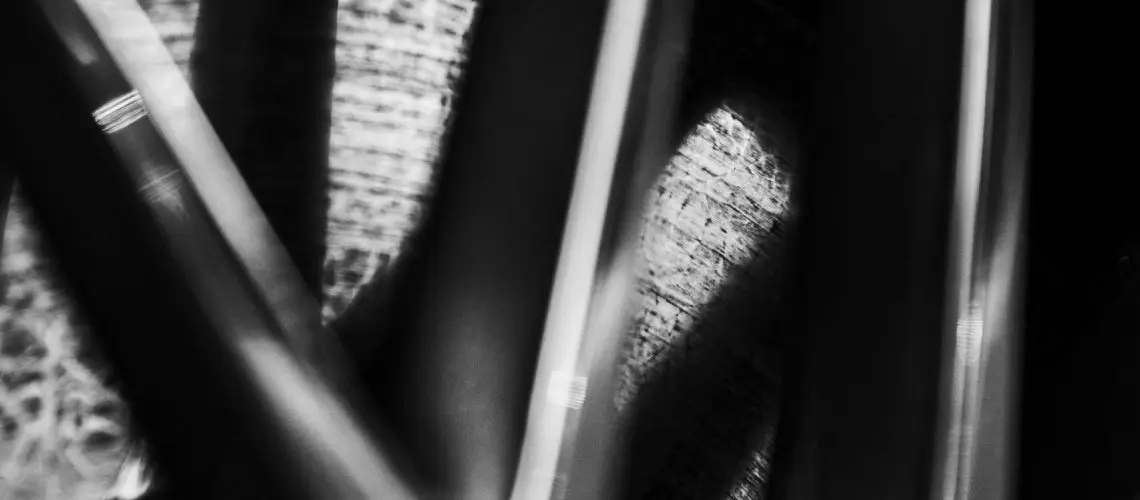 komorebi-photo-w3P-mpyVq5A-unsplash