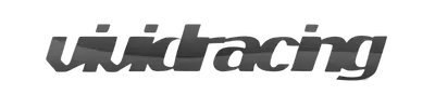 Aces Auto Elite - The image shows the word vividracing in a bold, italicized, lowercase font with a gradient effect, transitioning from dark gray at the top to light gray at the bottom, on a light background. | Arizona Luxury & Exotic Car Service