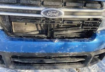What to Do After a Deer Collision Near Riverton, Utah