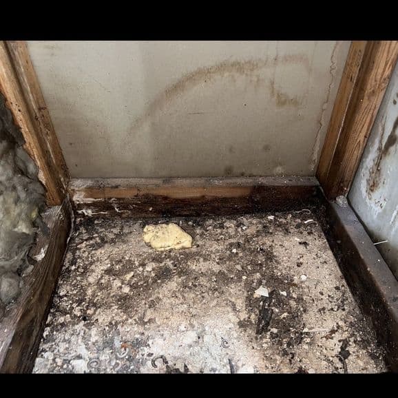 professional-to-inspect-a-basement-aqua-dry-basement-waterproofing-2