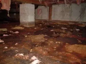 Damp crawl space with standing water showing why crawl space encapsulation helps reduce moisture, mold growth, and musty odors.