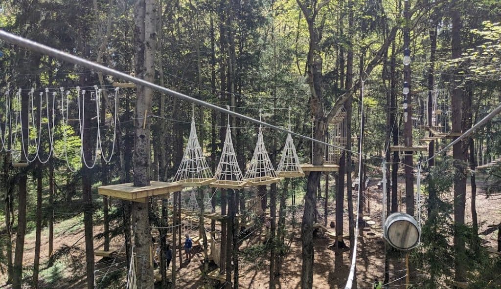 Aerial view of a treetop adventure course featuring wooden platforms, rope bridges, and climbing structures amidst a lush forest setting in Richboro, PA, highlighting outdoor recreational activities.
