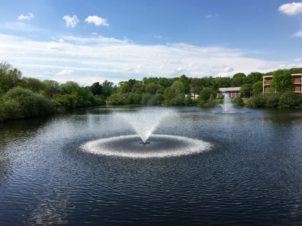 Fountain spraying water in Centennial Lake at Rider University, surrounded by greenery and buildings, illustrating a serene environment in Lawrenceville, NJ.