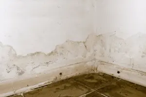 water-leaking-into-your-basement-sundahl-waterproofing-2
