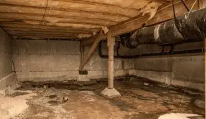 crawlspace-waterproofing-sundahl-waterproofing-2