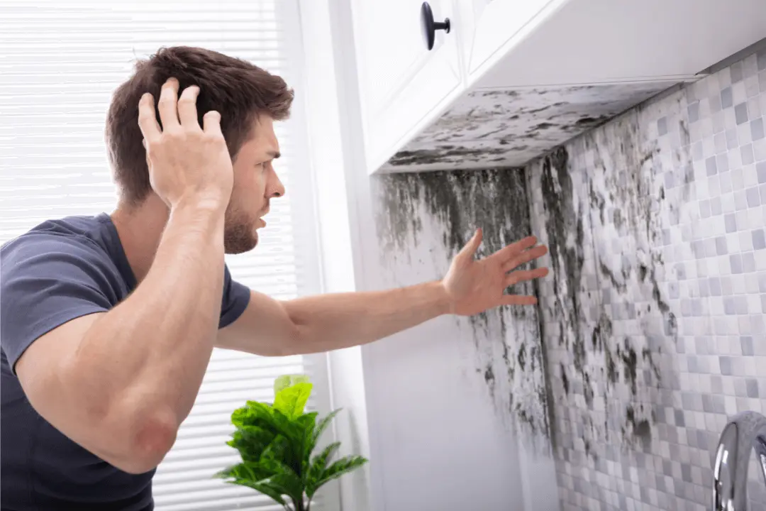 Homeowner with mold infestation
