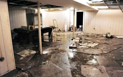 How Do Professionals Handle Basement Water Damage in Carmel, IN?