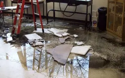 How Much Does Water Damage Restoration Cost in Carmel, IN?