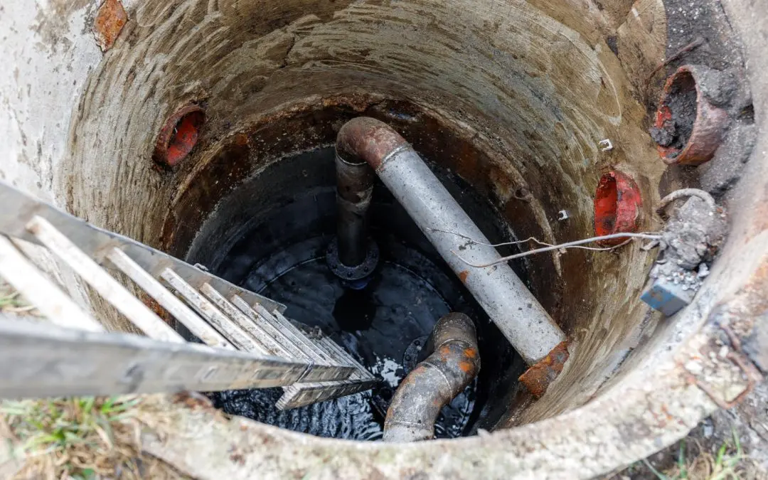 What To Do if You Suspect Sewer Backup Damage