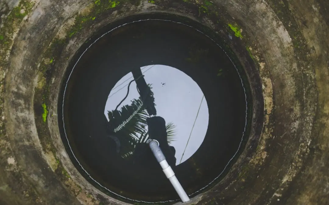 Safe Cleanup Steps to Handle Sewage Backups