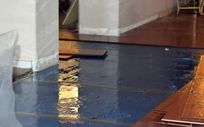 How to Find a Reliable Water Damage Contractor Near You in Carmel, IN