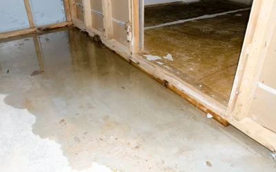 What Equipment Do Water Damage Restoration Pros Use in Carmel, IN Homes?